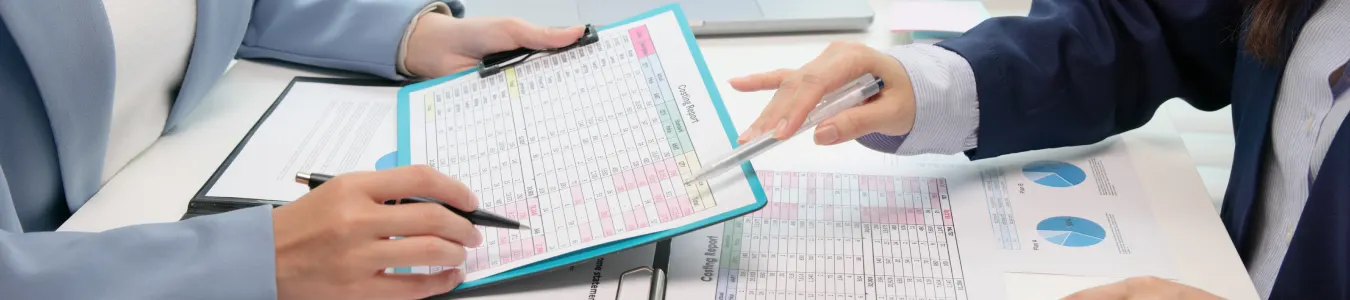 Company statutory accounts